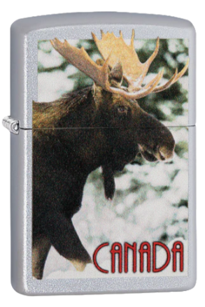 Zippo Souvenir Canada Moose (Chrome) (91908)